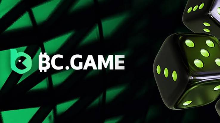 Guide to BC.Game Argentina Login Process Guide to BC.Game Argentina Login Process