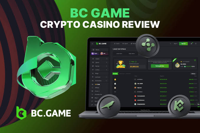 Guide to BC.Game Argentina Login Process Guide to BC.Game Argentina Login Process